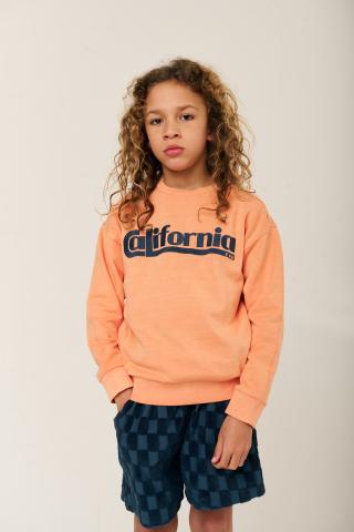 Golden state Sweater Jongens