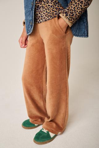 Willow Broek
