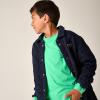 LOOKBOOK AW25 | POP OF GREEN -