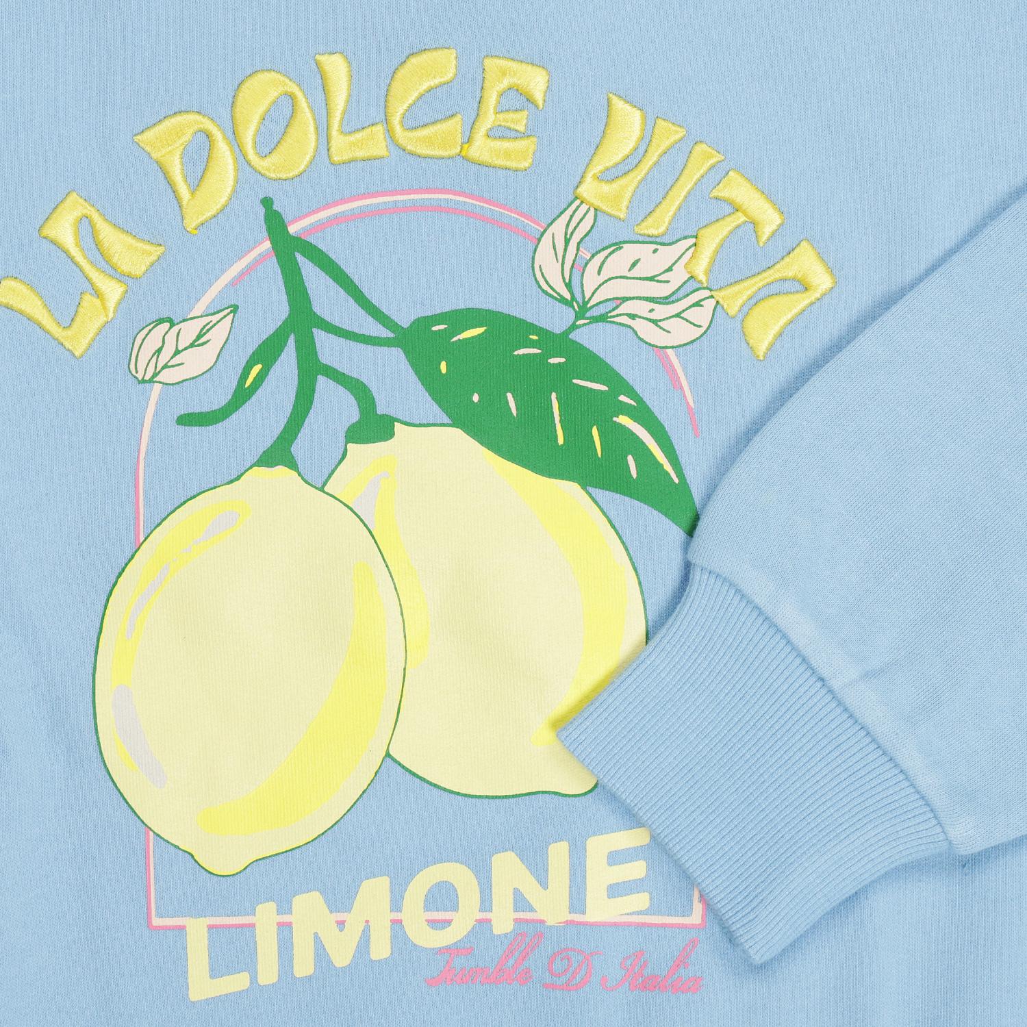 Vital Sweater -Tumble 'N Dry